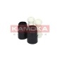 KAMOKA 2019021