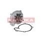 KAMOKA T0217