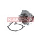 KAMOKA T0217