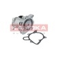 KAMOKA T0173