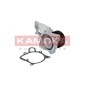 KAMOKA T0173
