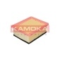 KAMOKA F210201