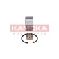 KAMOKA 5600020