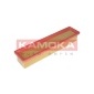 KAMOKA F229101