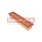 KAMOKA F229101