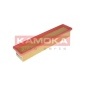 KAMOKA F229101
