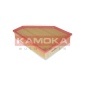 KAMOKA F219701
