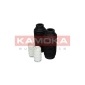 KAMOKA 2019102