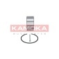 KAMOKA 5600037