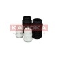 KAMOKA 2019010