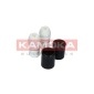 KAMOKA 2019023