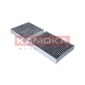 KAMOKA F506101