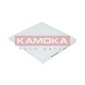 KAMOKA F415101