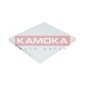 KAMOKA F415101