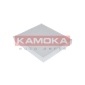 KAMOKA F405401