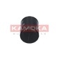 KAMOKA F103901