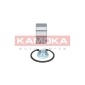 KAMOKA 5600084