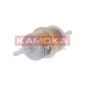 KAMOKA F300901