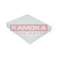 KAMOKA F412101