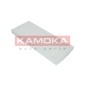 KAMOKA F409301