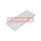 KAMOKA F409301