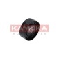 KAMOKA R0210