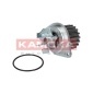 KAMOKA T0089