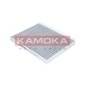 KAMOKA F502301