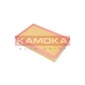 KAMOKA F231901