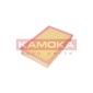 KAMOKA F231901