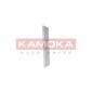 KAMOKA F402801