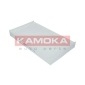 KAMOKA F403301