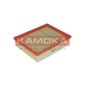 KAMOKA F219801