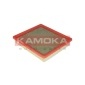 KAMOKA F216901