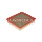 KAMOKA F216901