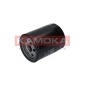 KAMOKA F101301