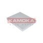 KAMOKA F404501
