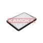 KAMOKA F404601