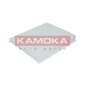 KAMOKA F403401