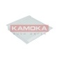 KAMOKA F412301