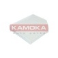 KAMOKA F415001