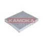 KAMOKA F503301