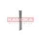 KAMOKA F503601