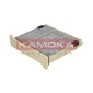 KAMOKA F507901