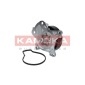 KAMOKA T0262