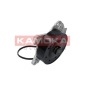 KAMOKA T0262