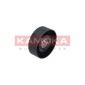 KAMOKA R0368