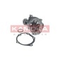 KAMOKA T0209