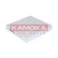 KAMOKA F412701