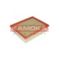 KAMOKA F224301